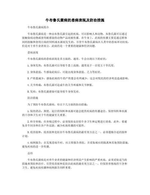 牛布鲁氏菌病的患病表现及防治措施