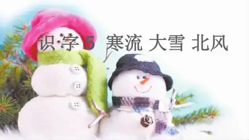 2017年苏教版语文二年级上册(课堂教学课件)识字5  寒流 大雪 北风