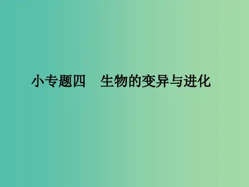 高考生物三轮考前重点专题突破专题四生物的变异与进化