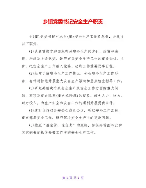乡镇党委书记安全生产职责