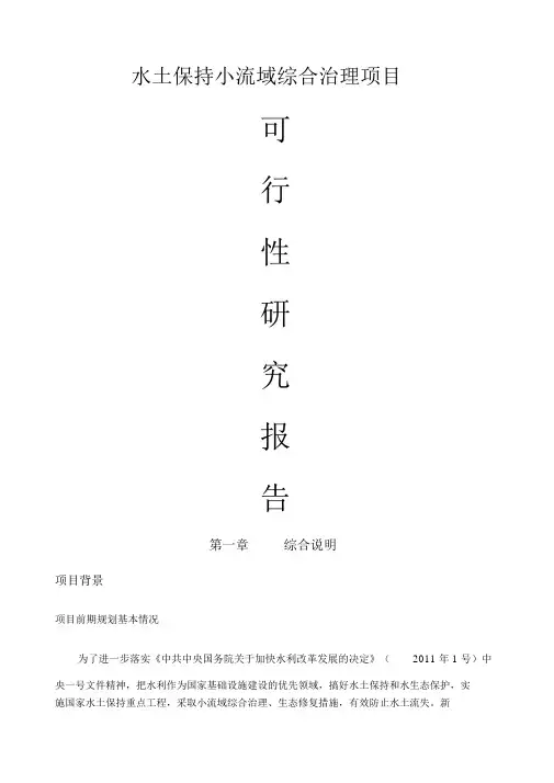 水土保持小流域综合治理项目可行性研究报告.docx