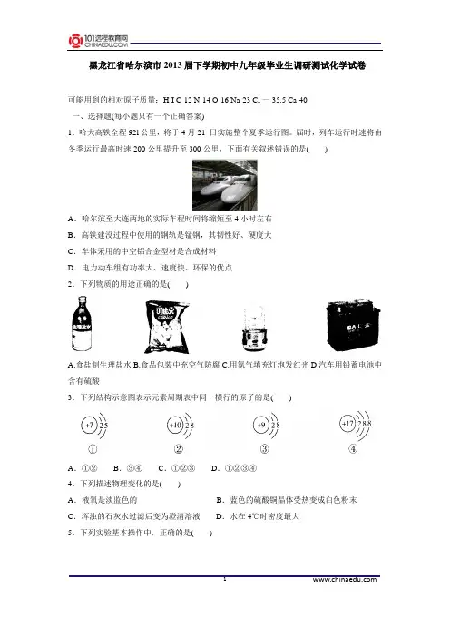 黑龙江省哈尔滨市2013届下学期初中九年级毕业生调研测试化学试卷