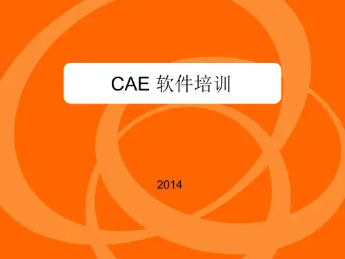 CAE培训教程