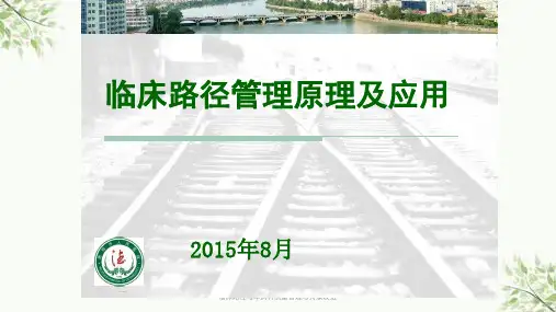 临床路径与单病种质量管理与持续改进ppt课件