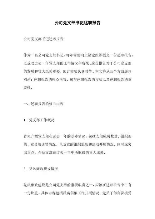 公司党支部书记述职报告