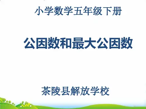 五年级下册数学PPT-最大公因数-人教版(12张)-精品课件