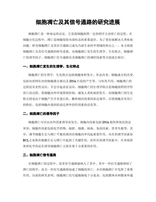 细胞凋亡及其信号通路的研究进展