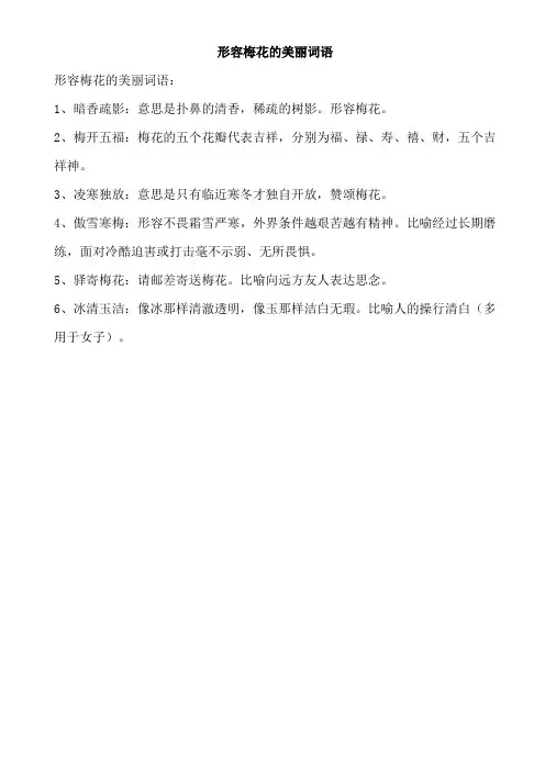 形容梅花的美丽词语