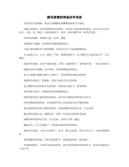 描写表情的神态四字词语