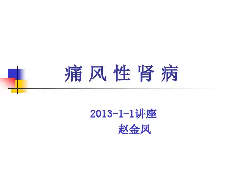 痛风性肾病护理查房