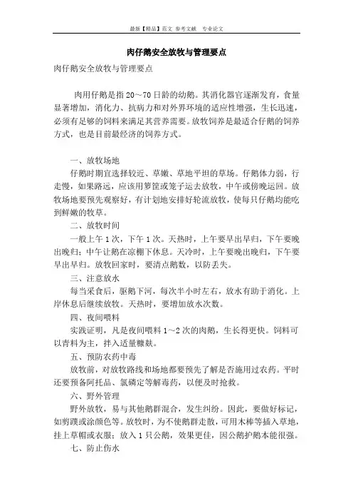 肉仔鹅安全放牧与管理要点