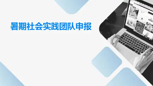 暑期社会实践团队申报