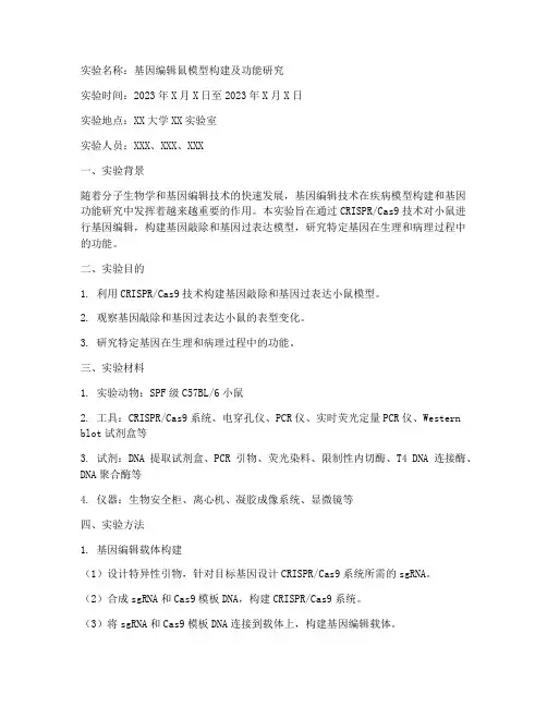 基因编辑_鼠实验报告