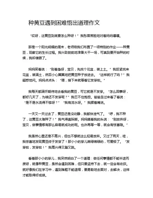 种黄豆遇到困难悟出道理作文