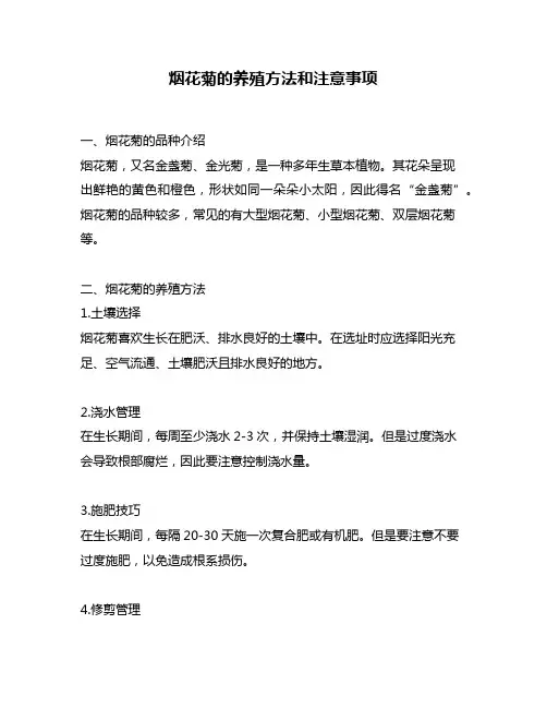 烟花菊的养殖方法和注意事项