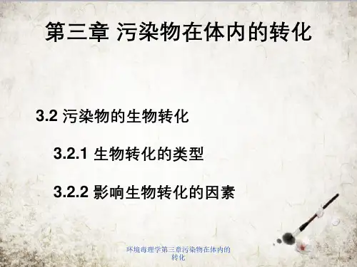 环境毒理学第三章污染物在体内的转化
