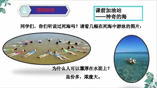 人教版九年级第九单元课题3 溶液的浓度(34张)