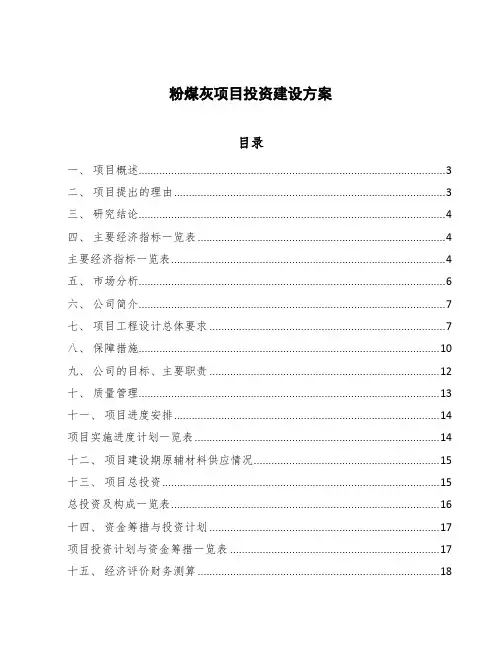 粉煤灰项目投资建设方案