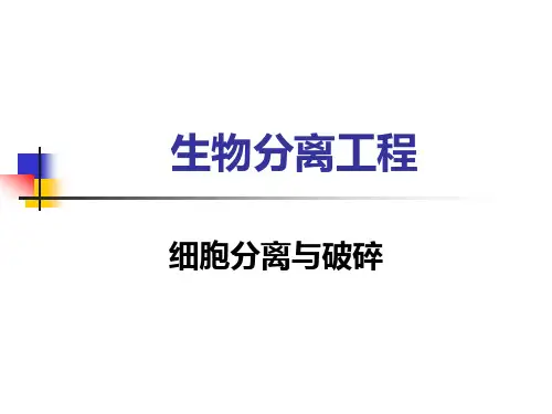 生物分离工程 细胞分离与破碎