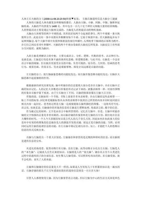 人体左右大脑的分工
