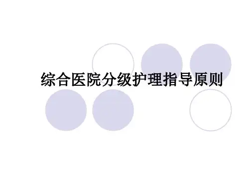 分级护理指导原则