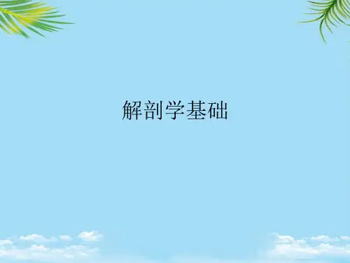 解剖学基础最全PPT