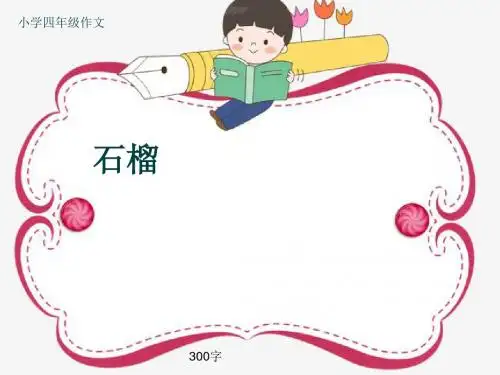 小学四年级作文《石榴》300字(共7页PPT)