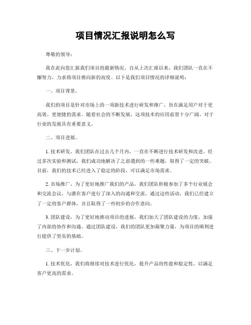 项目情况汇报说明怎么写
