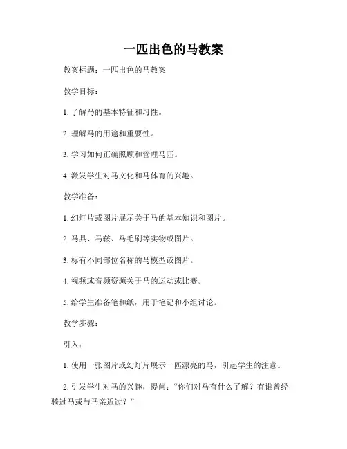 一匹出色的马教案