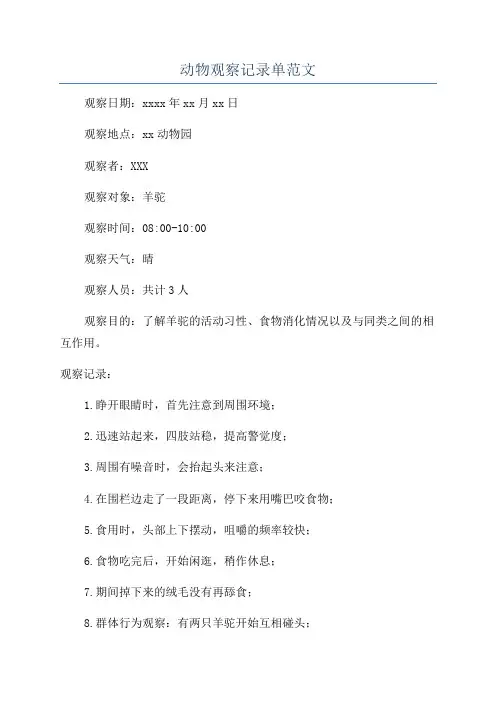 动物观察记录单范文
