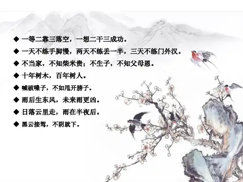谚语