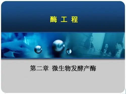 第二章  微生物发酵产酶