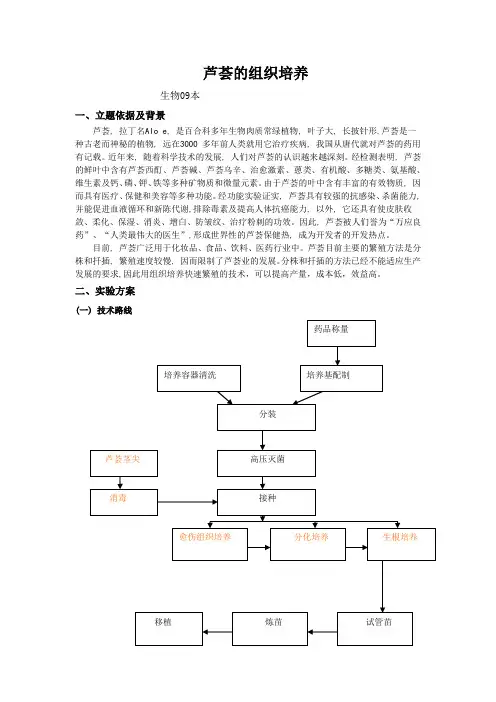 芦荟组培实验报告