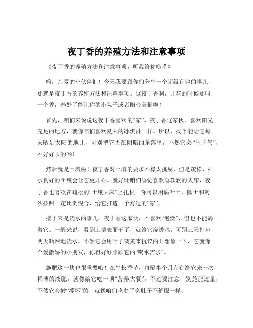 夜丁香的养殖方法和注意事项