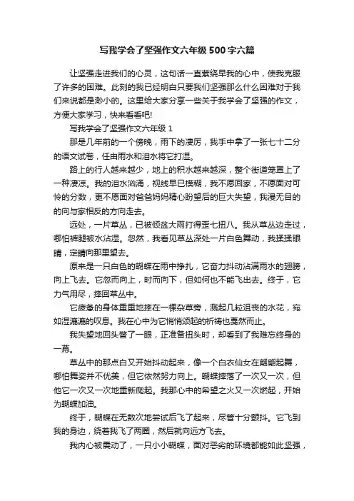 写我学会了坚强作文六年级500字六篇