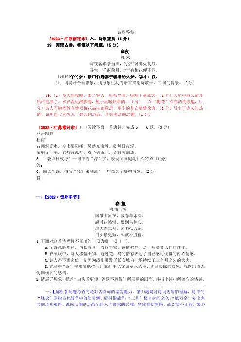 2022年中考语文试题分类汇编诗歌鉴赏(含解析)