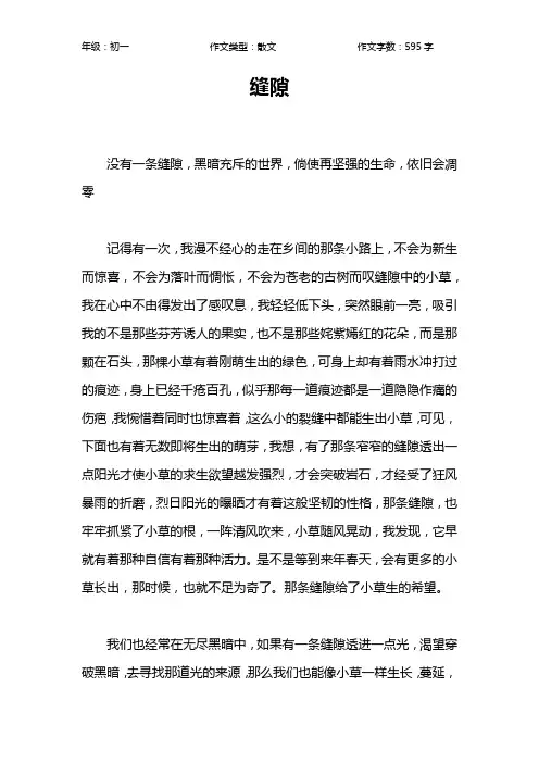 缝隙作文【初中初一600字】