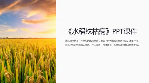 《水稻纹枯病》课件