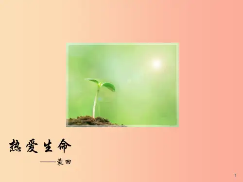 2019年九年级语文上册 第9课《短文二篇 热爱生命》课件 长春版PPT