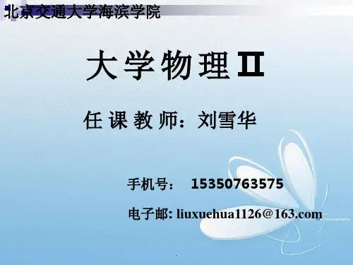 第四章 电磁学基础