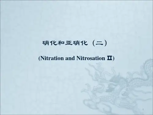 硝化ppt课件