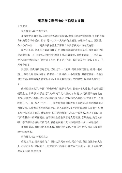 菊花作文范例600字说明文5篇