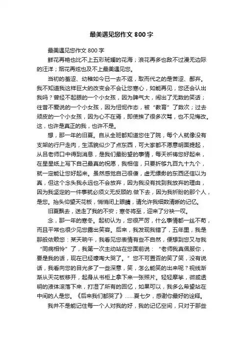最美遇见您作文800字