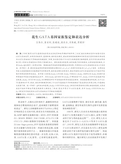 花生GATA基因家族鉴定和表达分析