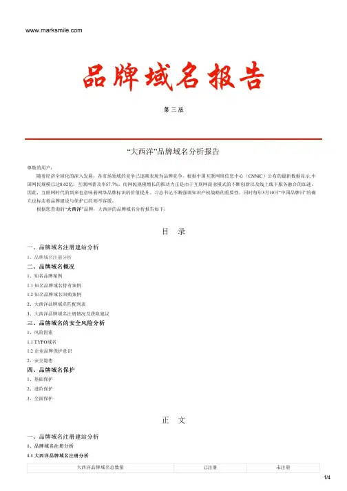 大西洋的品牌域名分析报告