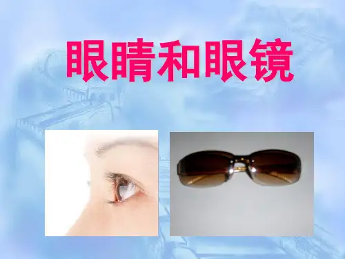 5.4眼睛和眼镜 ppt课件