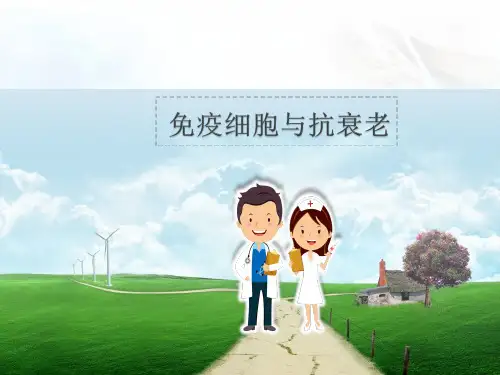 (精选课件)免疫细胞与抗衰老.PPT幻灯片