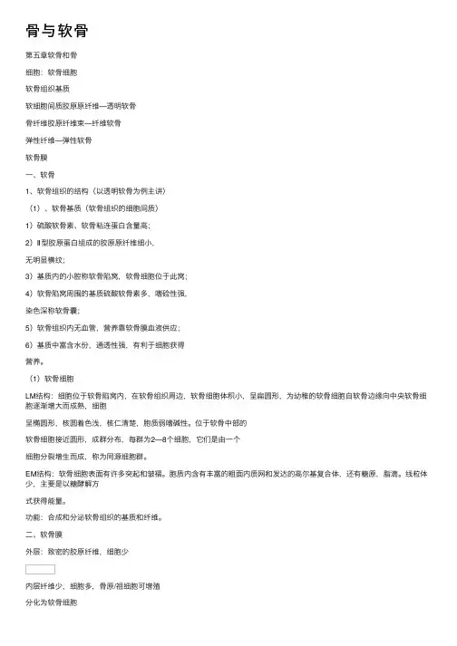 骨与软骨——精选推荐