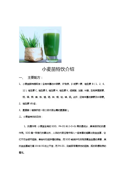 小麦苗特