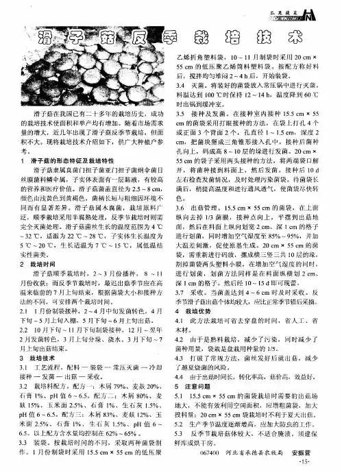 滑子菇反季栽培技术